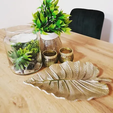 Daire Goscinne U Majerczykow Stozh